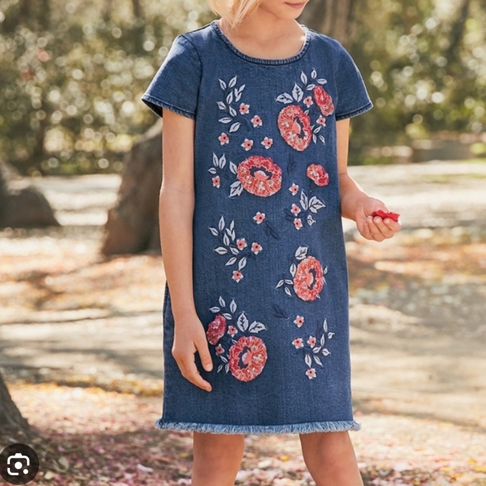 Garnet Hill Kids embroidered Aline denim T-shirt dress sz 10 NEW